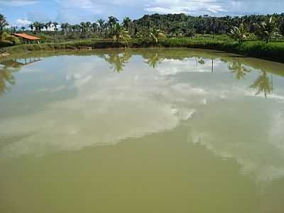 UNIDADE DE PISCICULTURA-FOTO:PISCICULTURA DO PIAU - ESPERANTINA - PI