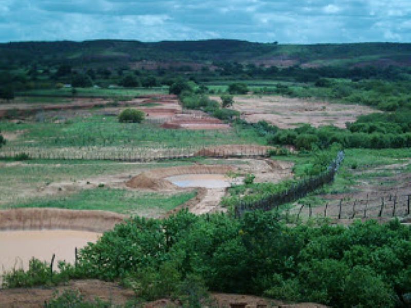 JOO COSTA-PI-DESERTO VERMELHO NO PERODO DE CHUVA-FOTO:BARRAGINHAS - JOO COSTA - PI