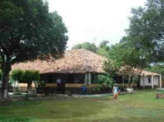 CASA DE TELHA-FOTO:NEMZIO MOITA - LAGOA ALEGRE - PI