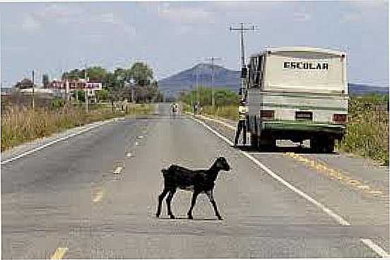 IMAGEM-FOTO:BLOGS.ESTADAO - LAGOA DE SO FRANCISCO - PI