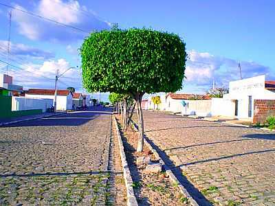 AV.29 DE ABRIL-FOTO:MARQUINOROCHA  - LAGOA DO BARRO DO PIAU - PI