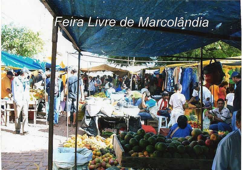 MARCOLNDIA - PI - MARCOLNDIA - PI
