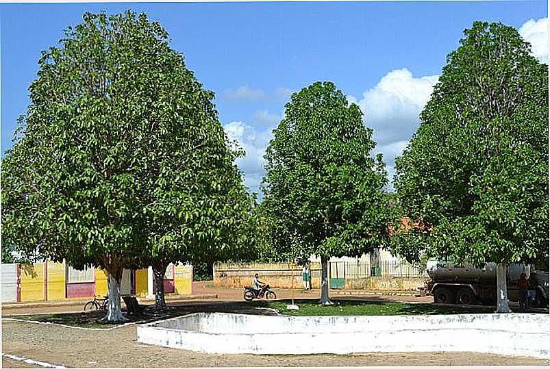 PRAA DA MATRIZ - MIGUEL LEO - PI