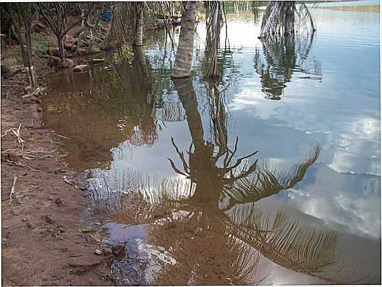 REFLEXO NAS GUAS DO AUDE DA JOANA, POR ANTONIO LUIS BEZERRA DA CRUZ - PEDRO II - PI