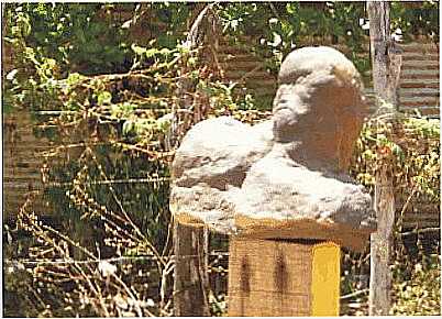 PEDRA MISTERIOSA ENCONTRADA NA REGIO DA CATARINA - PIRACURUCA-PI.  - PIRACURUCA - PI