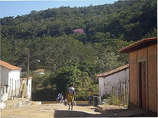 RUA DE RIBEIRO GONALVES-FOTO:DSANTAREM - RIBEIRO GONALVES - PI