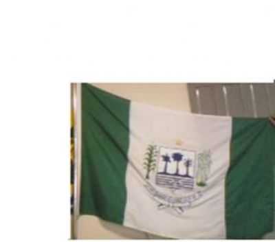 BANDEIRA DO MUNICIPIO DE RIO GRANDE(1981), POR WWW.RIOGRANDENET.COM.BR - RIO GRANDE DO PIAU - PI