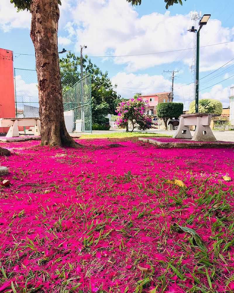IMAGEM DA CIDADE DE DOM MACEDO COSTA - BA - DOM MACEDO COSTA - BA