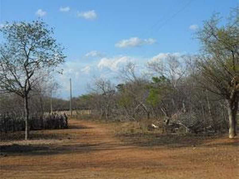 SO FRANCISCO DE ASSIS DO PIAU-PI-CAATINGA-FOTO:WWW.PORTALAZ.COM.BR - SO FRANCISCO DE ASSIS DO PIAU - PI