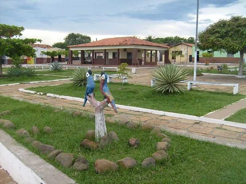 SO JOO DA SERRA-PI-ARARAS NA PRAA CENTRAL-FOTO:HERLLYS TORRES - SO JOO DA SERRA - PI