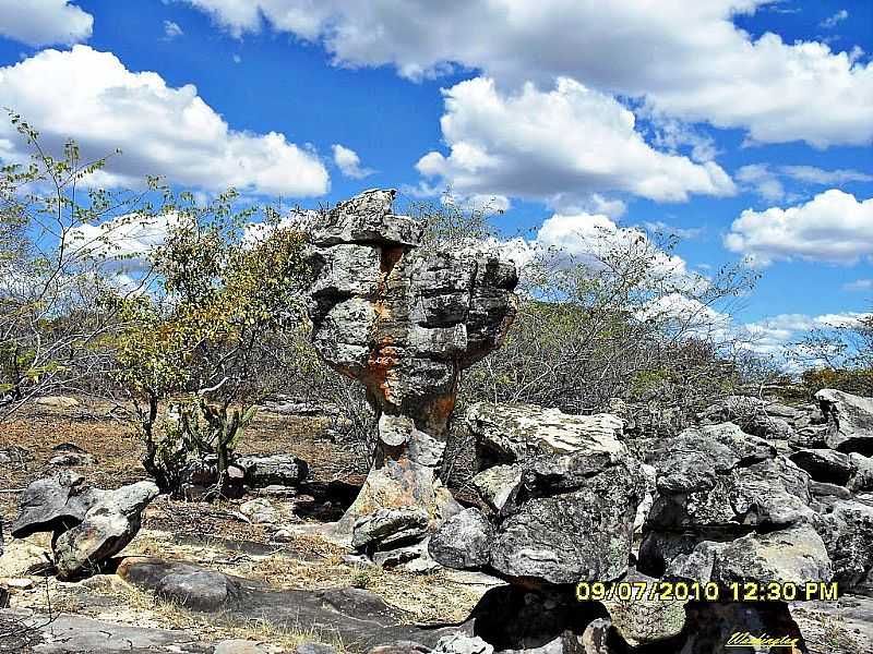 SOCORRO DO PIAU-PI-ESCULTURAS DA NATUREZA-FOTO:WLUIZ  - SOCORRO DO PIAU - PI