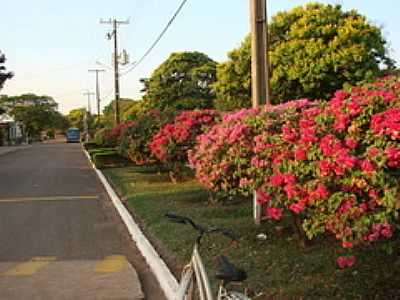 AV.JOS BONIFCIO-FOTO:ISA LANZIANI - ADHEMAR DE BARROS - PR