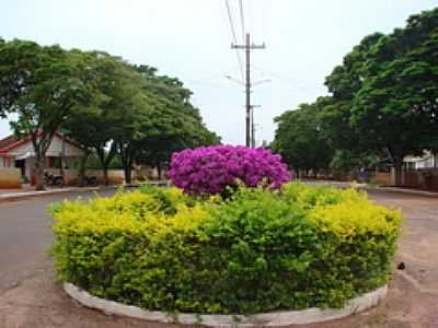 PRIMAVERA EM FLOR-FOTO:ISA LANZIANI - ADHEMAR DE BARROS - PR