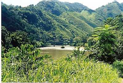 RIO RIBEIRA POR NAGIB AKIM - ADRIANPOLIS - PR