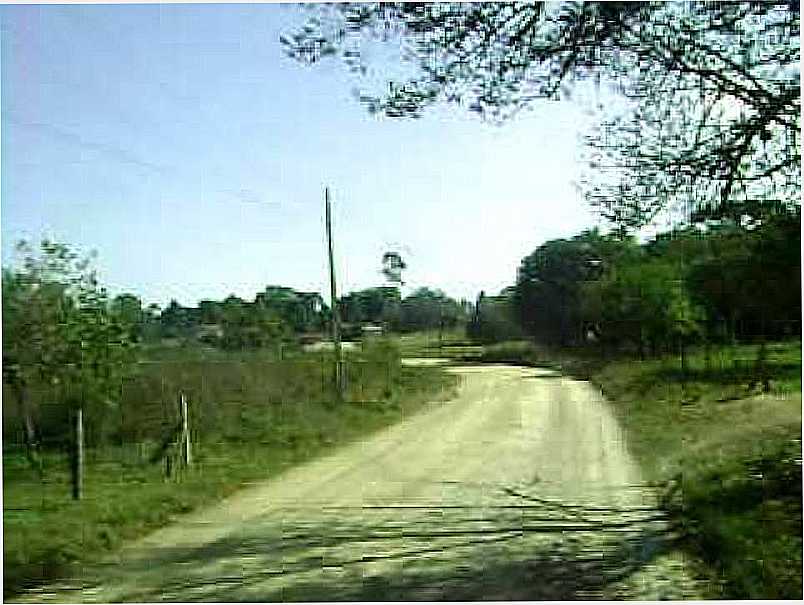 GUA AZUL-PR-ESTRADA DE TERRA-FOTO:FFERNANDA MARTINI SILVA - GUA AZUL - PR