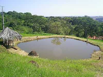 LAGOA DOS GANSOS-FOTO:JLVENANCIO  - GUA BOA - PR