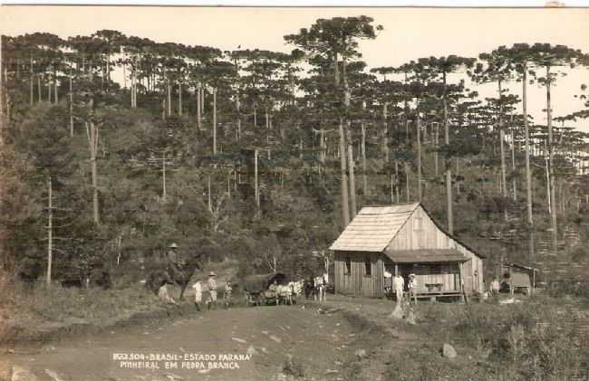 POR BORGES NETO C. - GUA BRANCA - PR