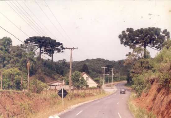 TURISMO RURAL-ESTRADA DA PACOTUBA, POR PEDRO MARTIM KOKUSZKA - ALMIRANTE TAMANDAR - PR