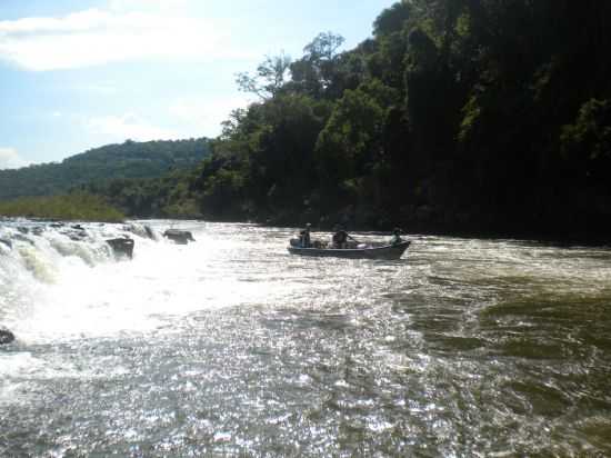 EXPEDIO ECOLGICA AMIGOS DO RIO PIQUIRI, POR DIOGENES FRANCIS KLEIN - ALTAMIRA DO PARAN - PR