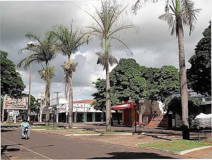 AV. SETE DE SETEMBRO - ALTNIA, PR -  POR FERNANDO NOVAK  - ALTNIA - PR