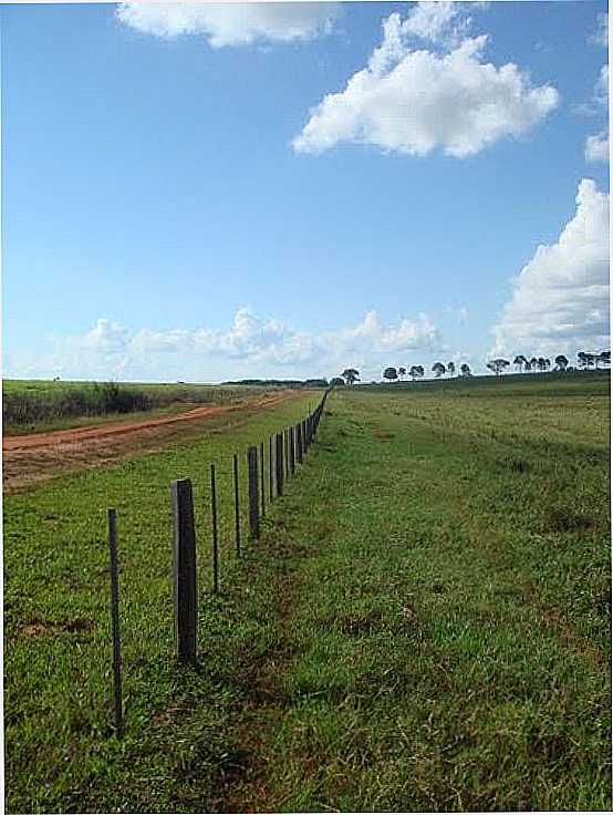 ESTRADA EM REA RURAL EM ALTNIA-FOTO:LAUTENIR - ALTNIA - PR