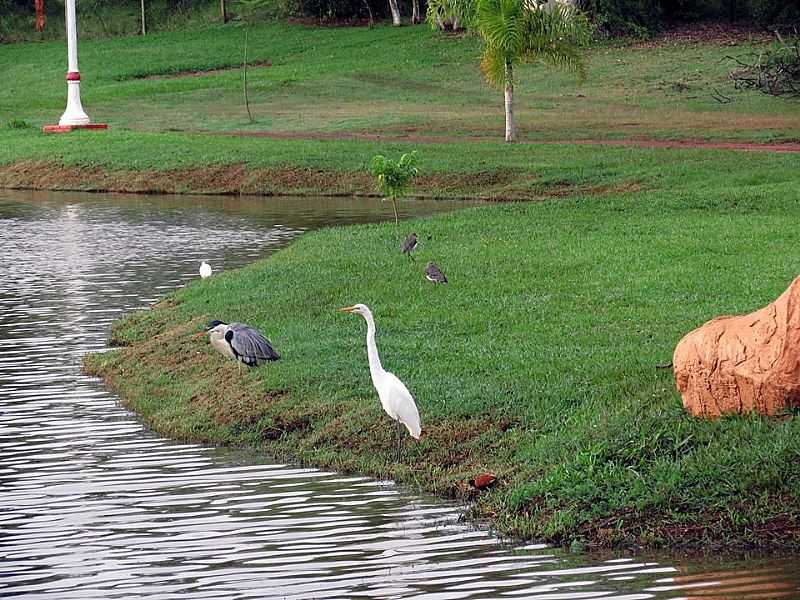 IMAGENS DE ALVORADA DO SUL - PR FOTO PREFEITURA MUNICIPAL - ALVORADA DO SUL - PR