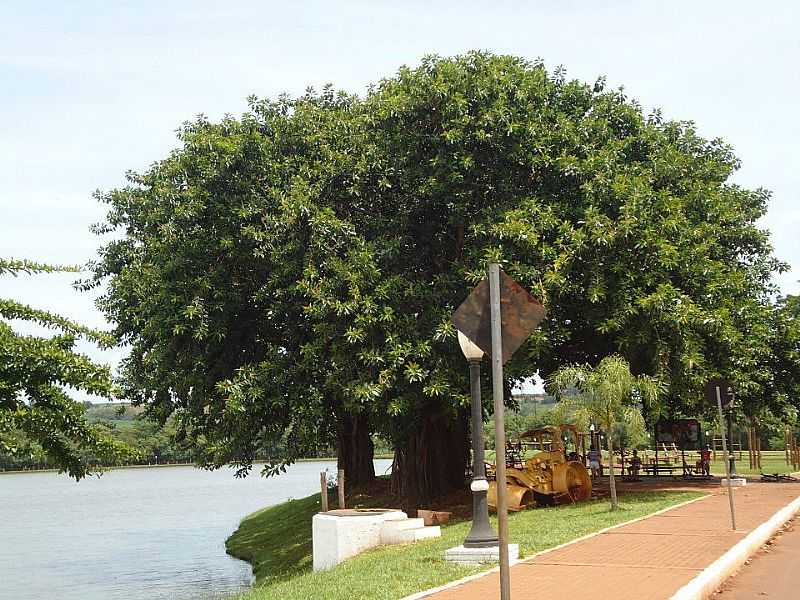 IMAGENS DE ALVORADA DO SUL - PR FOTO PREFEITURA MUNICIPAL - ALVORADA DO SUL - PR