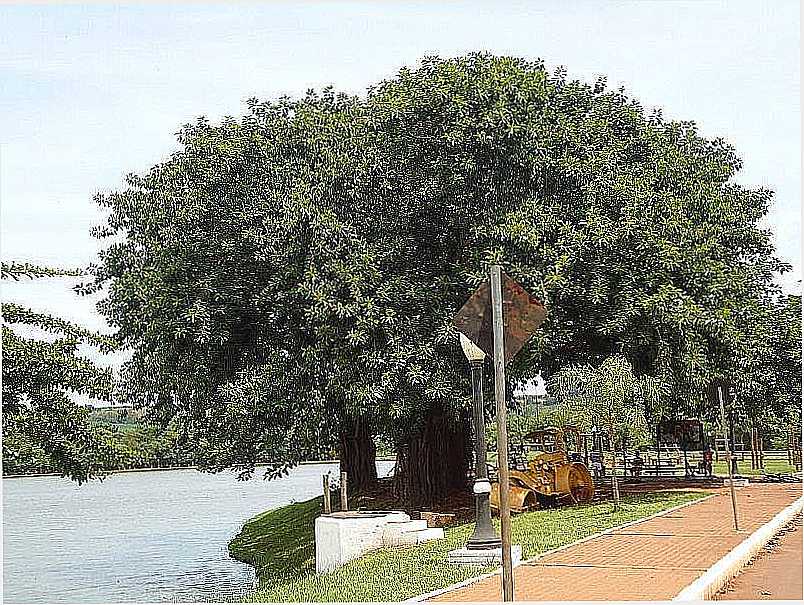 IMAGENS DE ALVORADA DO SUL - PR FOTO PREFEITURA MUNICIPAL - ALVORADA DO SUL - PR