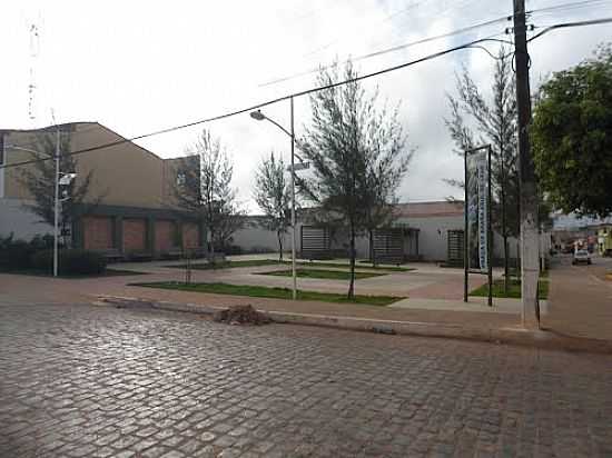 PRAA ARARA AZUL EM EUCLIDES DA CUNHA-BA-FOTO:CARLOS AMORIM DIVULG - EUCLIDES DA CUNHA - BA