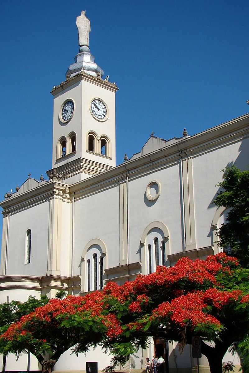 APUCARANA-PR-CATEDRAL DE N.SRA.DE LOURDES-FOTO:ALUISIO RIBEIRO 2 - APUCARANA - PR