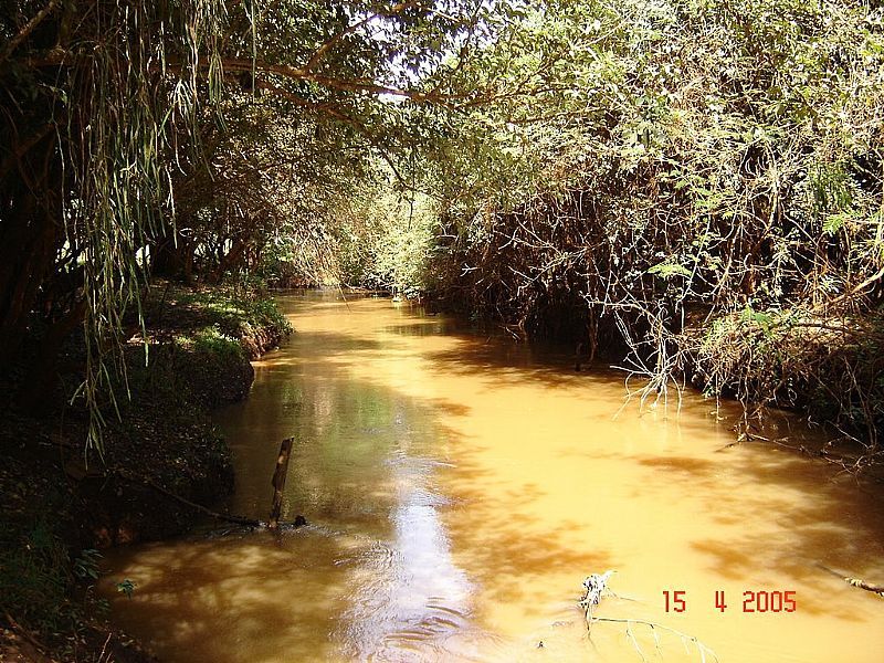 APUCARANA-PR-CRREGO RIO DO CERNE-FOTO:ALUISIO RIBEIRO 2 - APUCARANA - PR