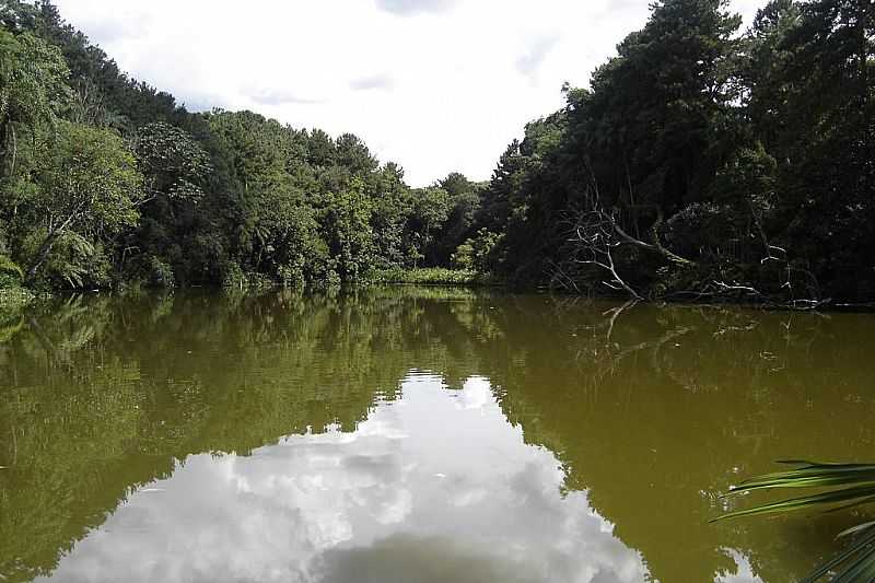 APUCARANA-PR-LAGO DOURADO-FOTO:ALUISIO RIBEIRO 2 - APUCARANA - PR