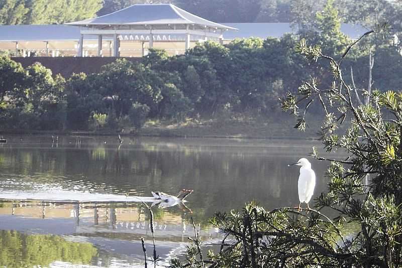 APUCARANA-PR-LAGO JABOTI-FOTO:ALUISIO RIBEIRO 2 - APUCARANA - PR