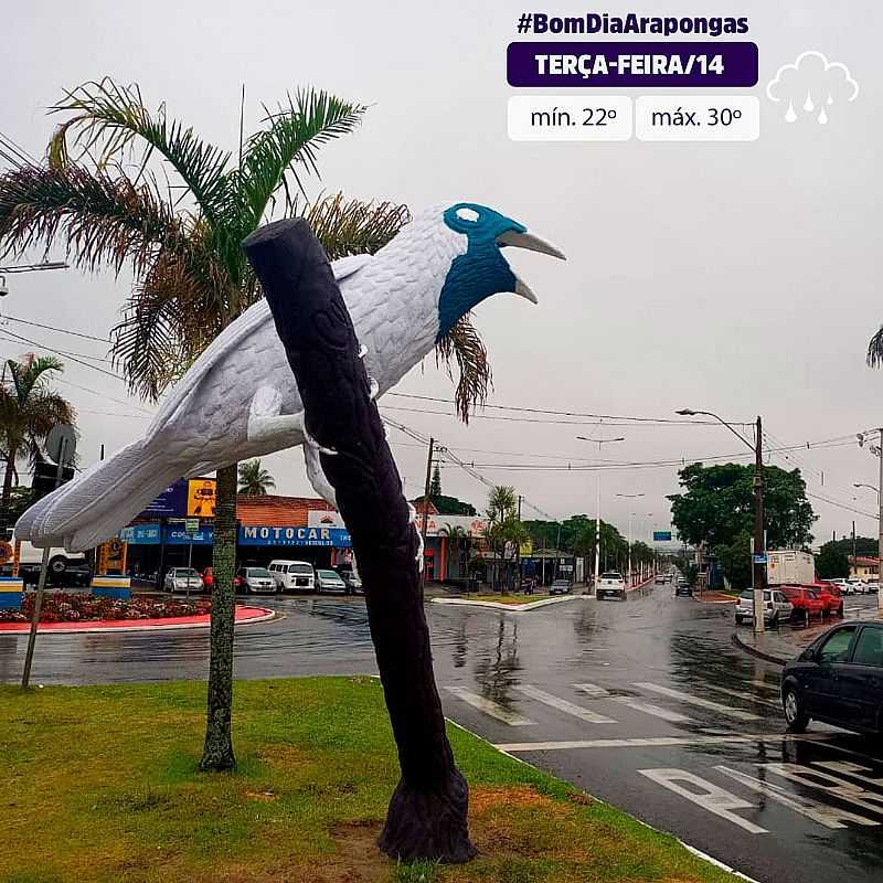 IMAGENS DA CIDADE DE ARAPONGAS - PR - ARAPONGAS - PR