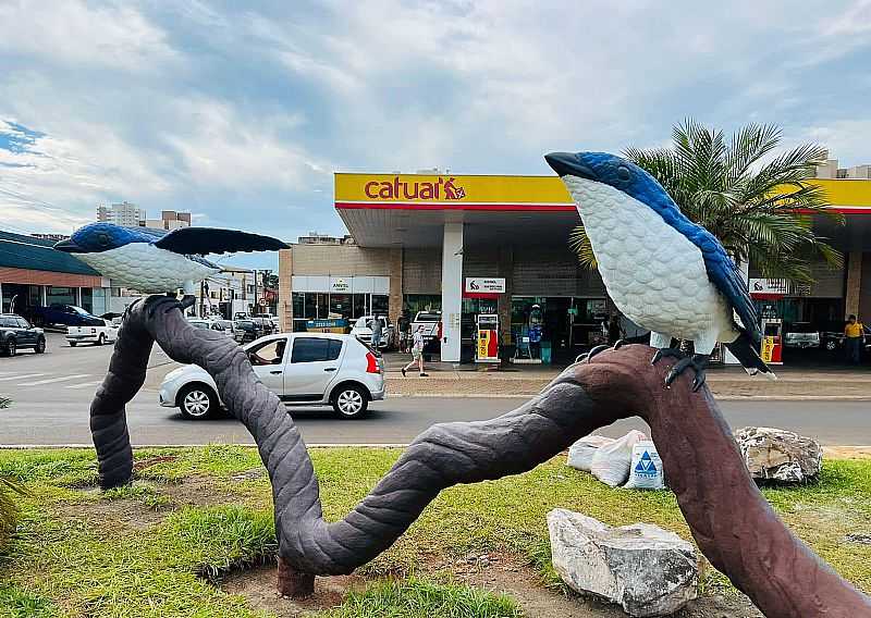 IMAGENS DA CIDADE DE ARAPONGAS - PR - ARAPONGAS - PR