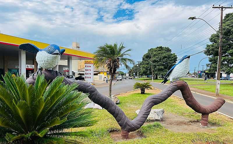 IMAGENS DA CIDADE DE ARAPONGAS - PR - ARAPONGAS - PR