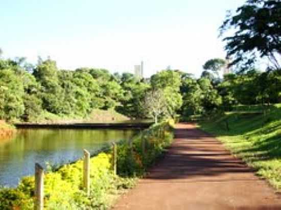 PARQUE DOS PSSAROS EM ARAPONGAS-FOTO:JOS CARLOS FARINA - ARAPONGAS - PR