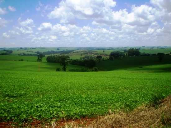 AREA RURAL DE ARAPU, POR JOSE MANOEL - ARAPU - PR