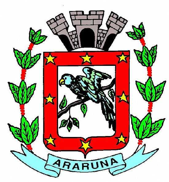 BRASO DO MUNICIPIO - ARARUNA - PR