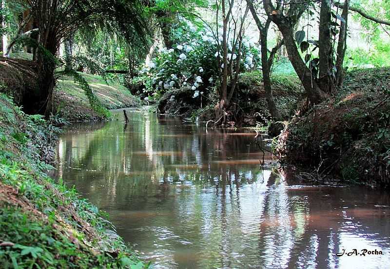 HORTO FLORESTAL  - ARAUCRIA - PR