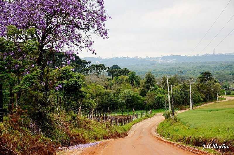 REA RURAL DE ARAUCRIA - ARAUCRIA - PR