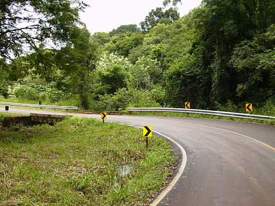 PONTE SOBRE O RIO AZUL-FOTO:PELUPE - ARIRANHA DO IVA - PR