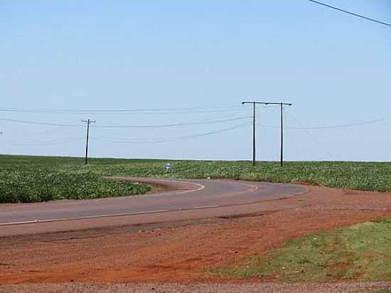 RODOVIA PR-317 EM ASSIS CHATEAUBRIAND-FOTO:RICARDO MERCADANTE - ASSIS CHATEAUBRIAND - PR