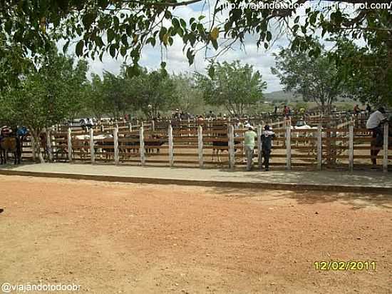 FEIRA DE COMPRA E VENDA DE BOIS-FOTO:SERGIO FALCETTI - CAMPO GRANDE - AL