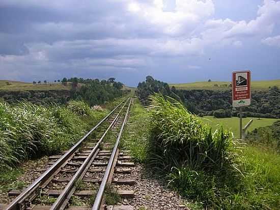 FERROVIA EM BALSA NOVA-PR-FOTO:DECIO MARQUES - BALSA NOVA - PR