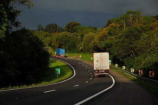 RODOVIA BR-376 EM BALSA NOVA-PR-FOTO:GRAFO3D - BALSA NOVA - PR