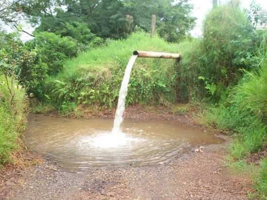 BICO NO BAIRRO GUA BRANCA, POR VARLETE INES CALIXTO - BARRA DO JACAR - PR