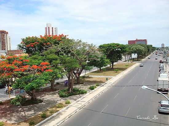 AV.GETLIO VARGAS EM FEIRA DE SANTANA-BA-FOTO:CERRADO - FEIRA DE SANTANA - BA