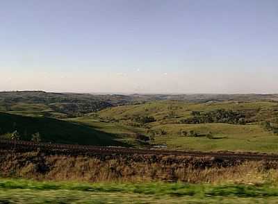 CAMPO PRXIMO BELA VISTA-FOTO:ARTEMIO C.KARPINSKI  - BELA VISTA - PR