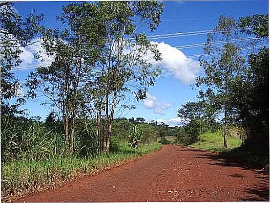 ESTRADA PARA BELA VISTA DO PIQUIRI-FOTO:CLAUDENIR LOURENATO - BELA VISTA DO PIQUIRI - PR